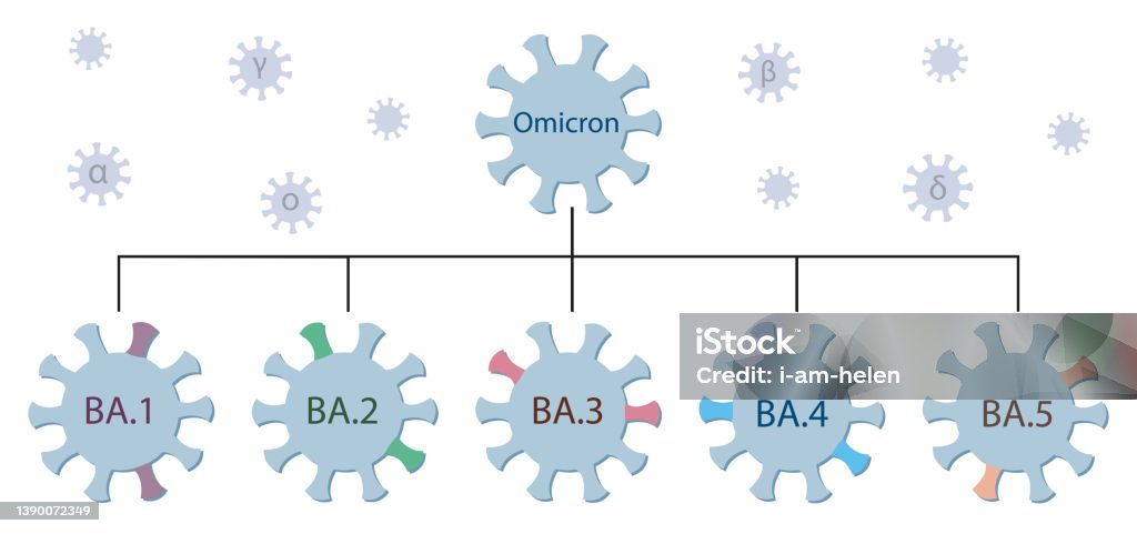 Omicrone Variante Dellomicrone E Dei Suoi Principali Sottotipi Ba1 Ba2 Ba3 Ba4 E ...