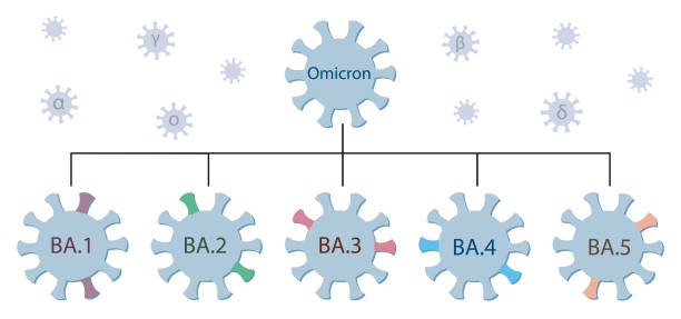 Omicron variant and its main subtypes BA.1, BA.2, BA.3, BA.4 and BA.5. Omicron genetic family tree. Covid-19 virus icons with names. Small viruses with the greek letters alpha, beta, gamma, delta flying around. Isolated images of coronaviruses on white background. sars cov 2 delta variant stock illustrations