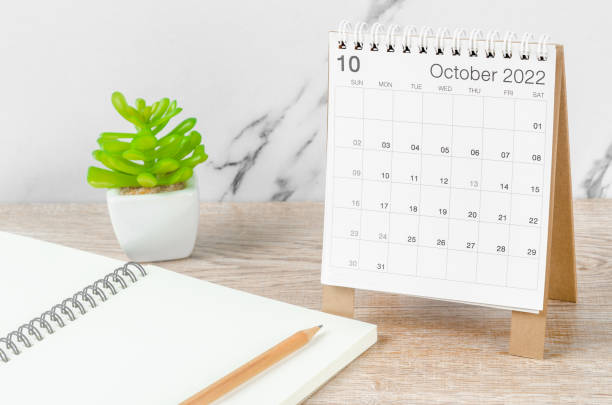 calendario de escritorio de octubre de 2022 con planta sobre mesa de madera. - october fotografías e imágenes de stock
