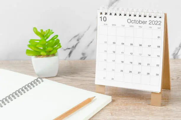 Photo of October 2022 desk calendar with plant on wooden table.