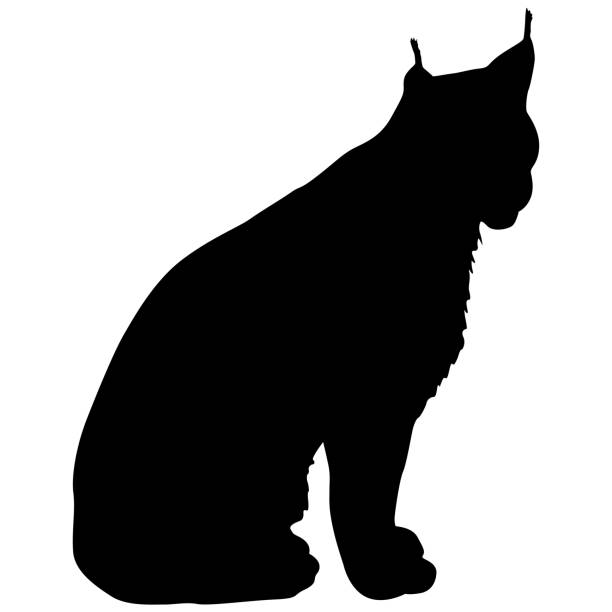 istock Silhouette of the Lynx on a white background 1390077902