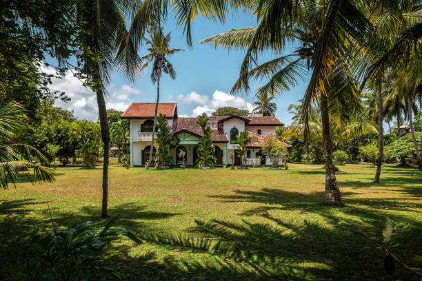 abandoned building in the tropical forest Abandoned hotel, building,house in the tropical forest Bali Villa stock pictures, royalty-free photos & images