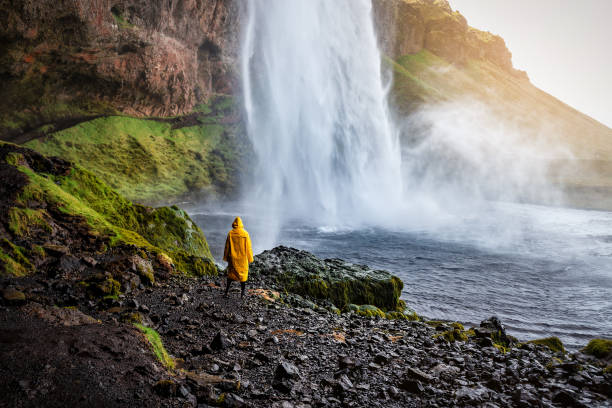 Person in a yellow raincoat watching Seljalandsfoss waterfall stock photo