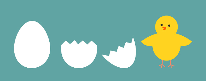 Easter egg and chick story. Cute chick hatched from the egg. Vector illustration.