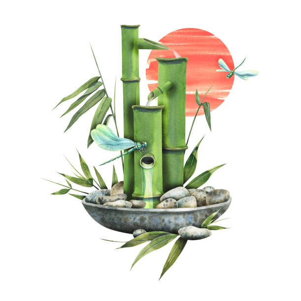 ilustrações, clipart, desenhos animados e ícones de composição de ilustração de aquarela uma fonte de bambu reconfortante em uma tigela de cerâmica com pedras e folhas de bambu. no fundo do sol asiático vermelho com lindas libélulas - bamboo fountain illustrations