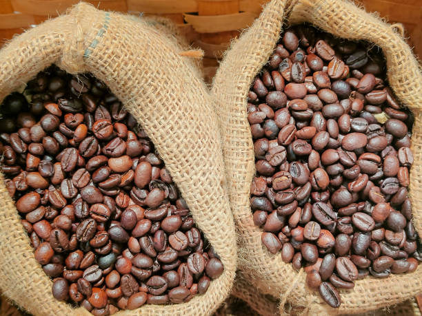 istock Freshly roasted Arabica coffee beans in a cloth sack. 1390094656