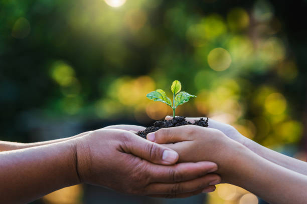 istock two hand holding small tree for planting. concept earth day 1390094710