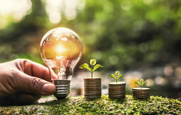 istock hand holding light bulb on green grass with young plant growing on coins stack. saving power energy and save money 1390094753