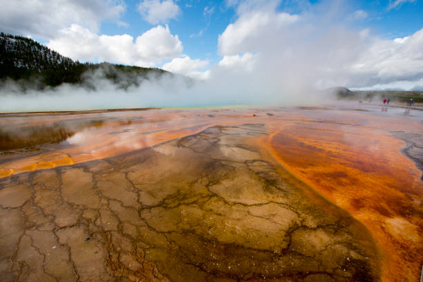 istock Hot in Yellowstone 1390098818