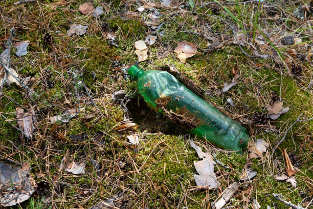 istock Used disposable green plastic bottle in forest. Pollution environment. Long decaying waste in nature 1390100632
