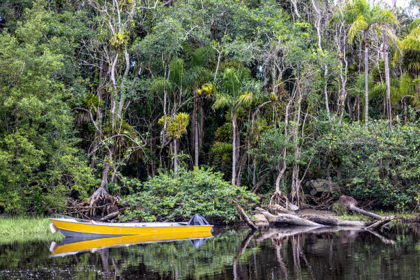 istock canoa de pescador 1390101482