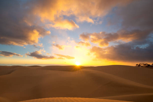 istock Sunset in the desert, sun rays, dramatic colorful clouds. Golden sand dunes in Maspalomas, Gran Canaria, Canary Islands, Spain. 1390102029