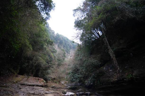 istock This is also popular tourist site in Oita. 1390104114