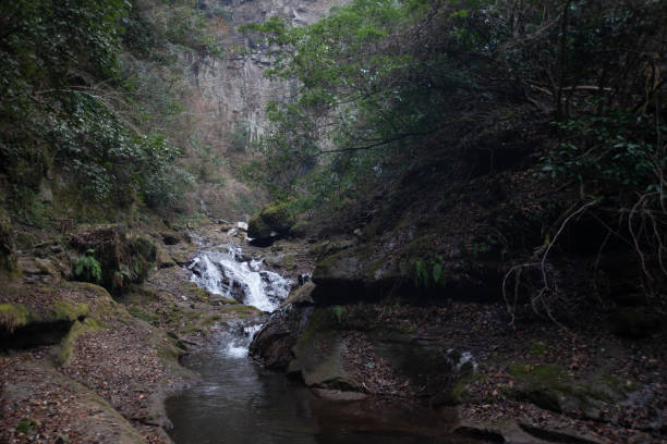 istock This is also popular tourist site in Oita. 1390104124