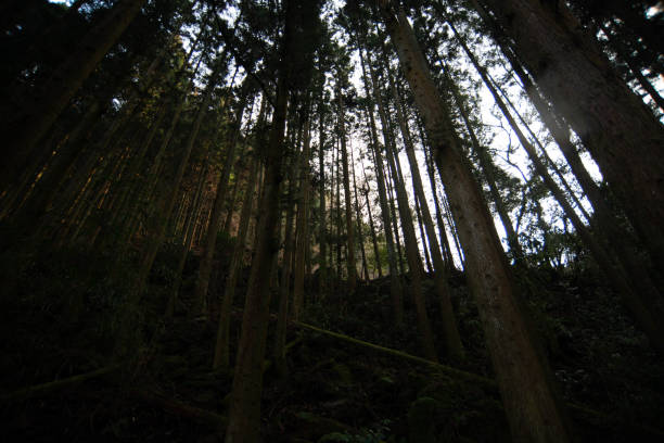 istock This is also popular tourist site in Oita. 1390104384
