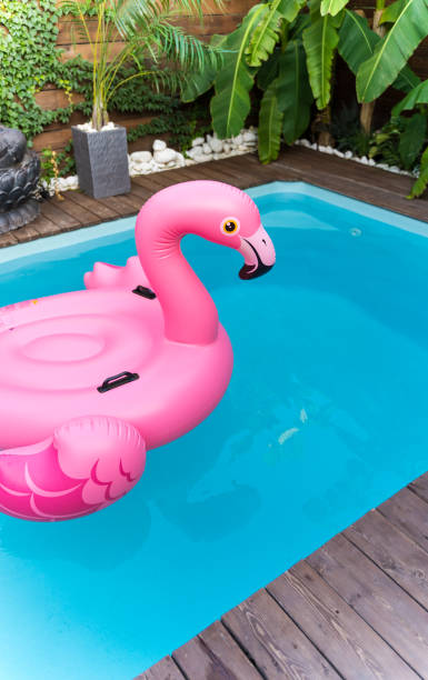 istock An inflatable float flamingo swims in the pool. Luxury vacation 1390106034