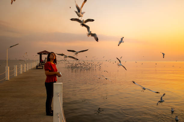 istock Woman feeds seagulls. 1390108717