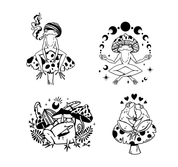 ilustrações, clipart, desenhos animados e ícones de pacote de artes de clipes isolados de sapo engraçado, sapo hippie fumando, sapo místico yoga e fases lunares, sapo insano e cogumelos, casal de sapos apaixonados, vetor desenhado à mão - fungus part