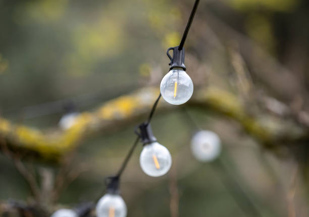 istock outdoor party string lights hanging in backyard on green bokeh background with copy space 1390112461