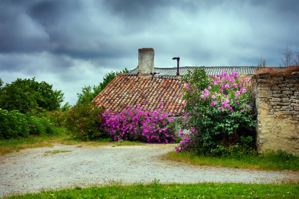 Vitoria-Gasteiz, Alava, Spain - July 05, 2016:  Old house in flowers in the village