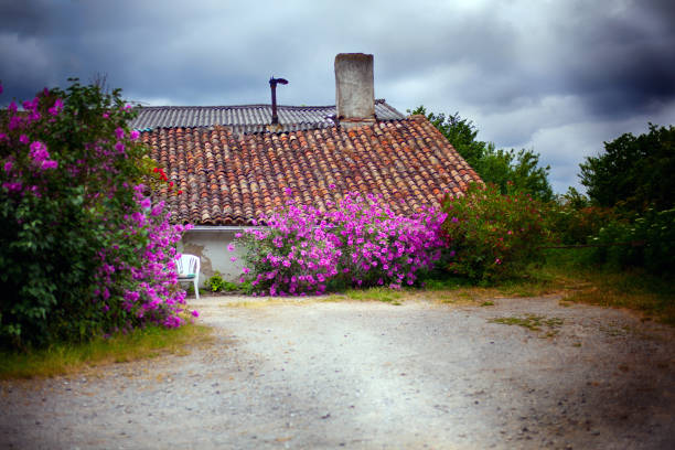 Vitoria-Gasteiz, Alava, Spain - July 05, 2016:  An old house in flowers under a stormy sky