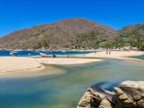 une journée ensoleillée dans un paradis de plage - 2547 photos et images de collection