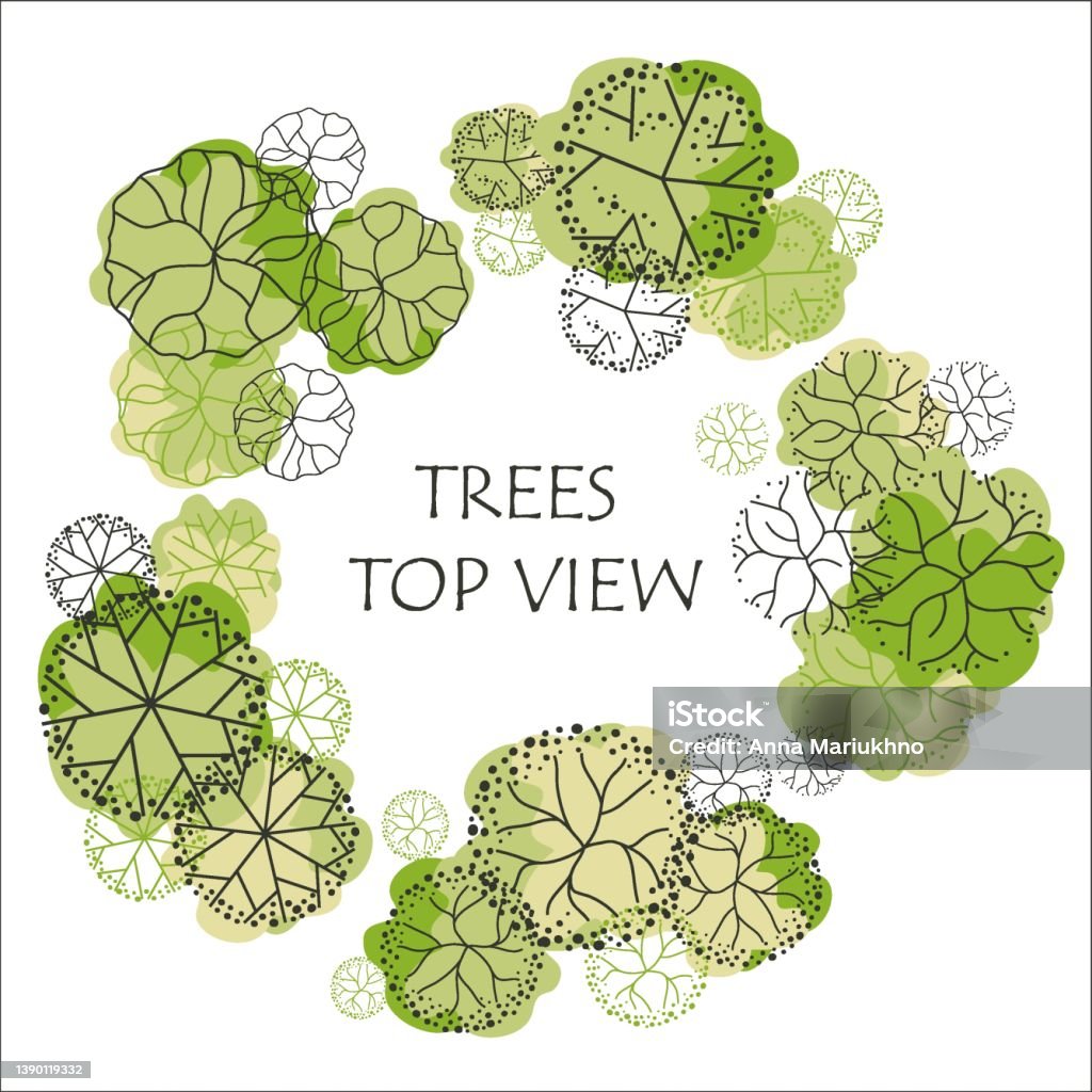 Tree Entourage Vector Set Of Vector Trees Entourage Design Vector Illustration Stock ...