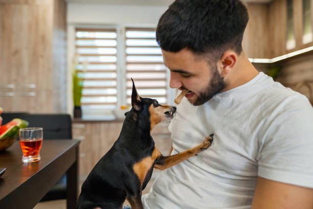 istock Young men spending time with his dog and feeding him 1390120266