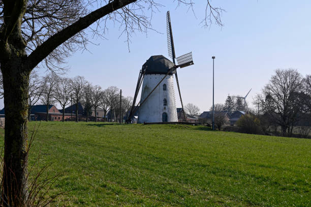 Borgsum, Germany - October 09, 2022: The Borgsumer Muehle is a so-called Erdhollaender on the North Frisian island of Foehr. Taken with a bright blue sky in autumn.