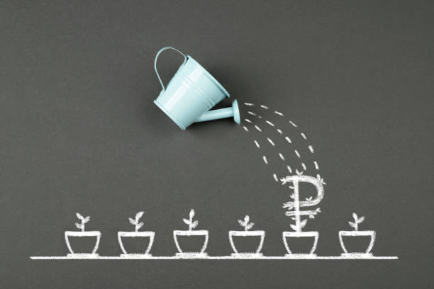 istock Watering can and ruble flower growing in pot 1390124216