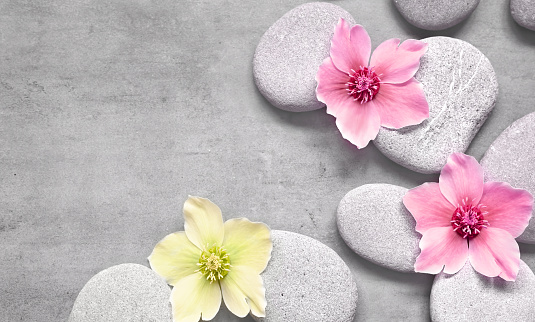 Spa stones and pink flowers on the grey background. Spa concept.