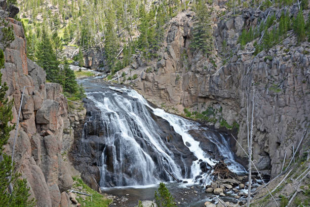 Gibbons waterfalls in Yellowstone
