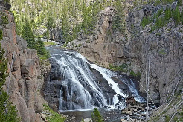 Photo of Gibbons waterfalls in Yellowstone