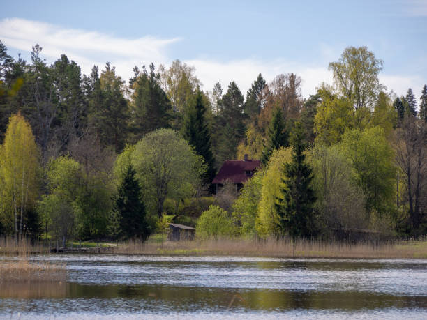 istock small house by the lake in the forest 1390130088
