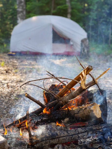 istock Burning campfire, with camping tent in the background, deep inside the forest, at sunset. 1390131350