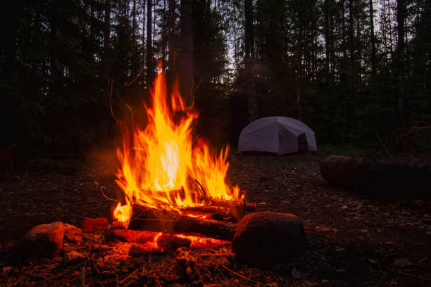 brennendes lagerfeuer, mit campingzelt im hintergrund, tief im wald, bei sonnenuntergang. - fire pit fire camping burning stock-fotos und bilder