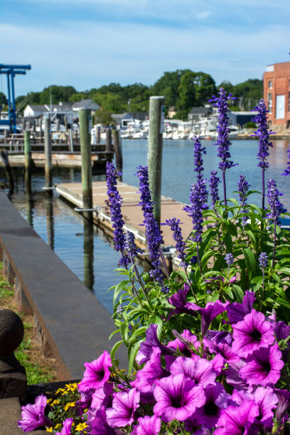 blick auf den mystic river, connecticut. historischer mystischer seehafen in connecticut. sommer 2021 - mystic connecticut nobody new england stock-fotos und bilder