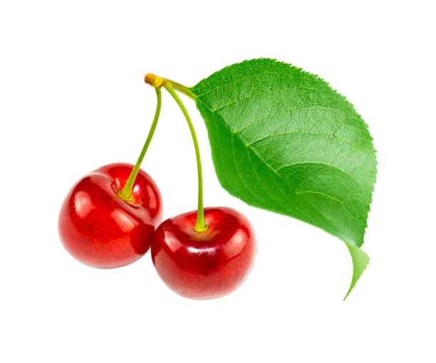 istock Two cherries with green leaf isolated on white background. 1390136504