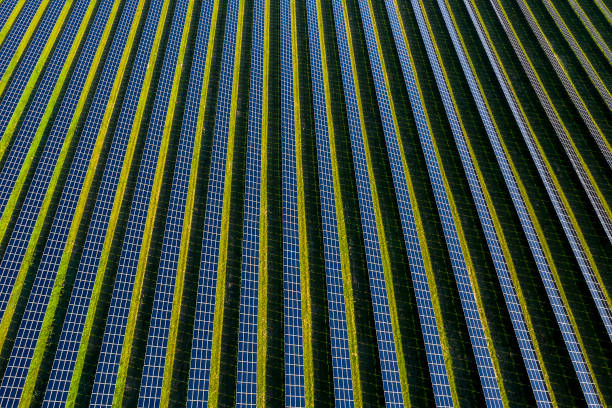 istock Rows of Blue Solar Panels, Green Technology, Aerial View 1390139013