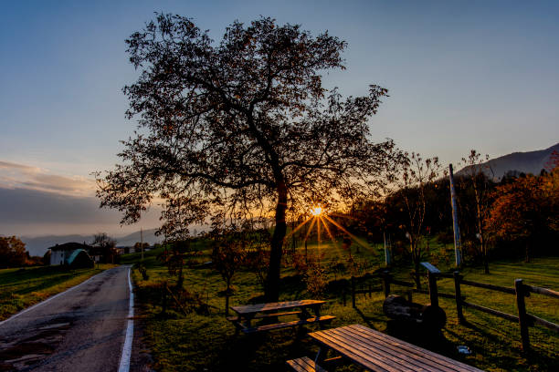 istock 2021 07 11 Colletto di Velo sun and tree 1390140979