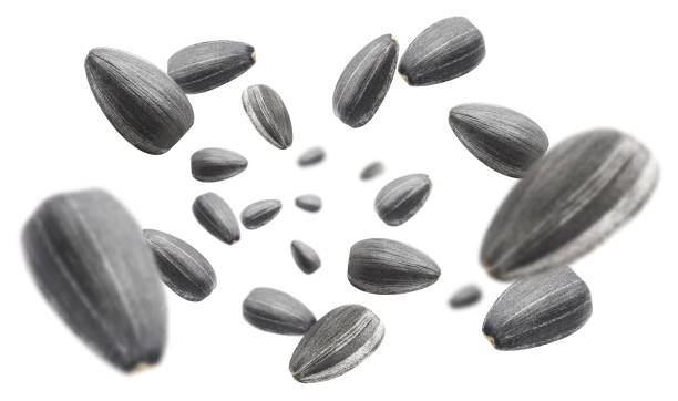 istock Flying sunflower black seeds on white 1390141103