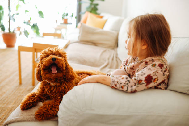 istock Little girl playing with dog 1390142386