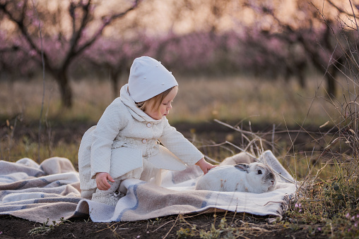 Little toddler girl in white coat hat plays with domestic Easter rabbit among blooming peach rose gardens at sunset. Spring walk picnic outside the city in the countryside. Portrait of beautiful child