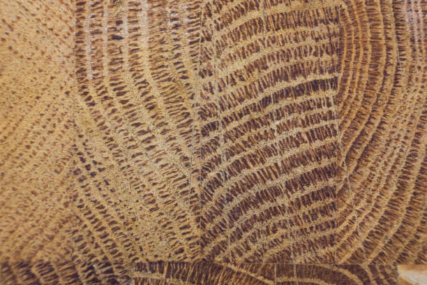 istock Brown oak wood texture. Abstract background 1390144632