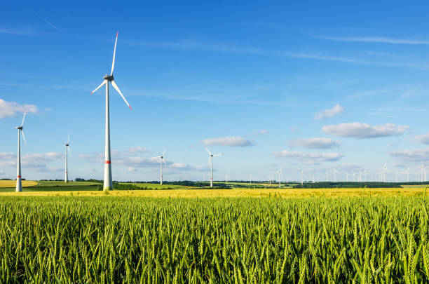 istock Wind turbines in agricultural landscape 1390144669