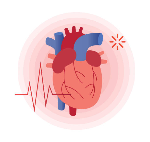 ilustrações, clipart, desenhos animados e ícones de ataque cardíaco com ícone de estoque de símbolos ecg - sistema de condução cardíaco