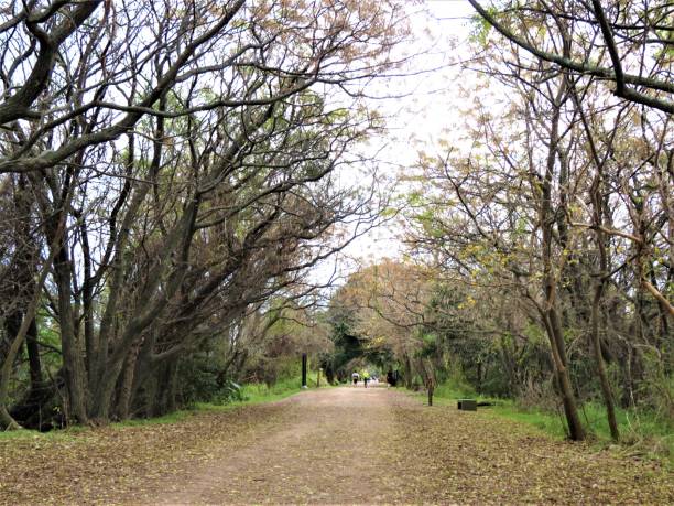 istock Costanera Sur Ecological Reserve Park. 1390144959