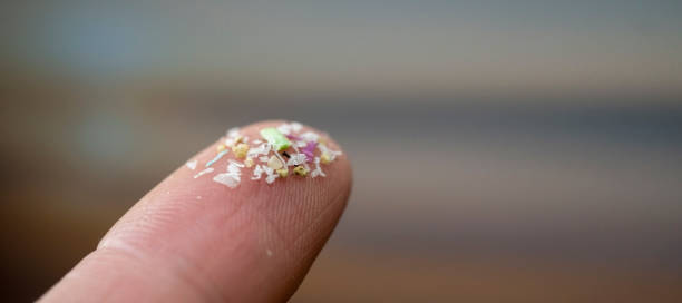 Close up side shot of microplastics on human fingers. Concept for water pollution and global warming. stock photo