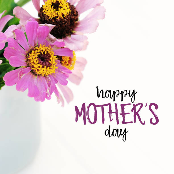 istock Mothers day zinnia flowers 1390145876