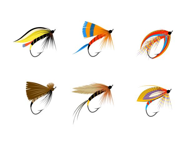 Flying fishing bait collection, isolated on a white background, vector illustration. Flying fishing bait collection, isolated on a white background, vector illustration. fishing hook stock illustrations